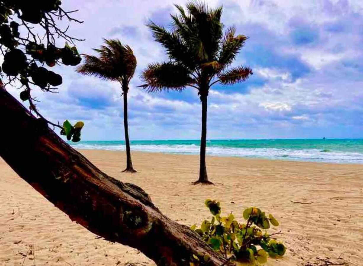 Efficiency 2 On Water Las Olas, Beach And Free Kayaks Fort Lauderdale Buitenkant foto
